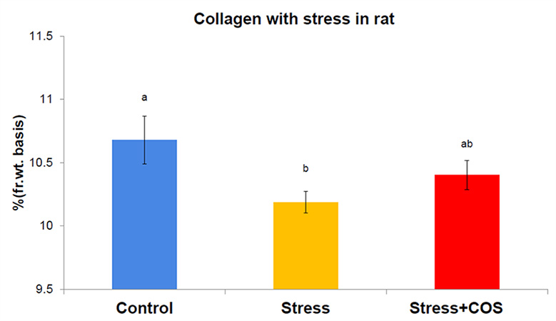 스트레스와 근육성분(콜라겐) 감소억제
